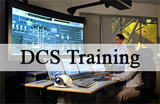 DCS Training Course