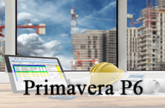 Primavera P6  Training Course