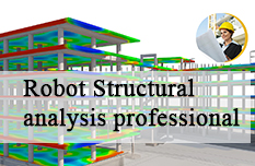 Robot Structural Analysis Professional Training Course