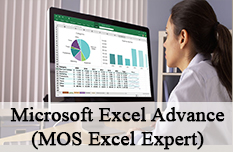 Microsoft Excel Advance Course