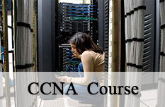 CCNA Routing and Switching Training Course